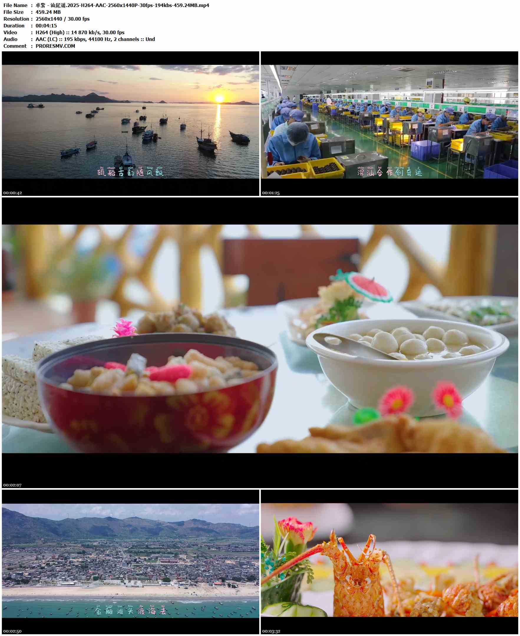 卓紫 - 汕尾谣.2025-H264-AAC-2560x1440P-30fps-194kbs-459.24MB官方MV_高清MV
